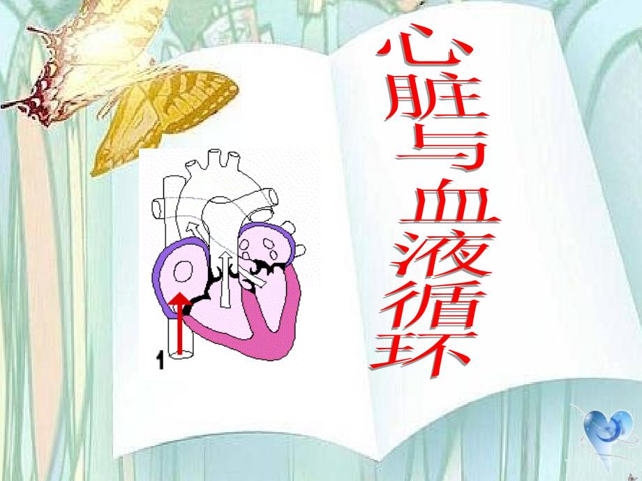 心脏和血液循环课件.ppt_第1页
