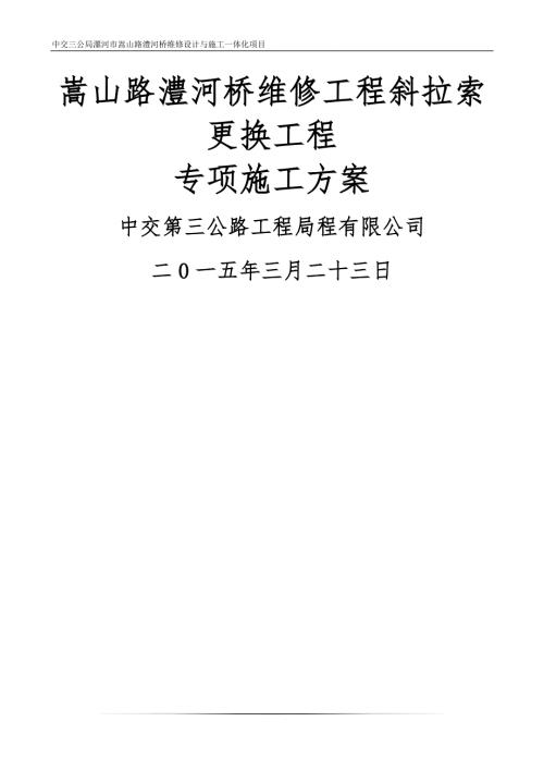 斜拉索更换专项施工方案.doc