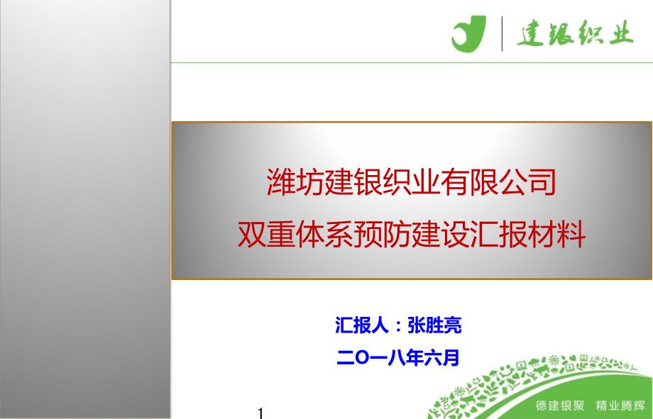 新版两个体系建设汇报材料PPT演示课件.pptx_第1页