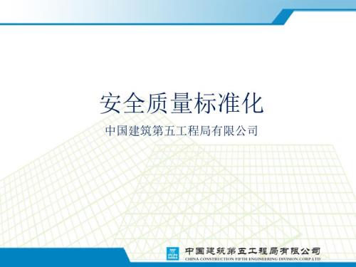 施工现场安全质量标准化图集完整版.ppt