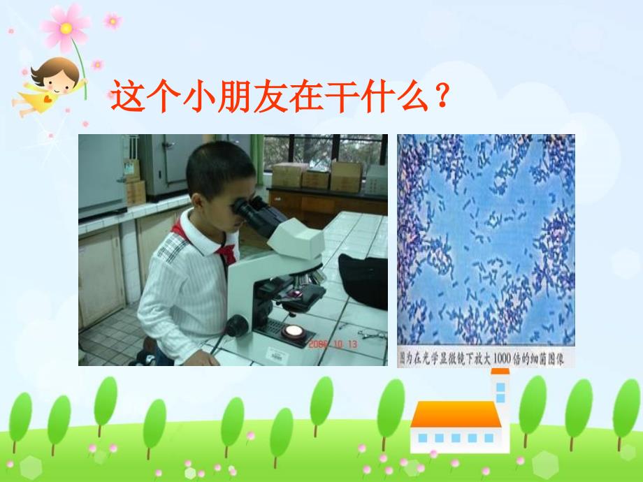洗洗小手讲卫生PPT课件.ppt_第2页