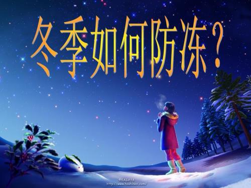 小学生冬季防寒防冻主题班会.ppt
