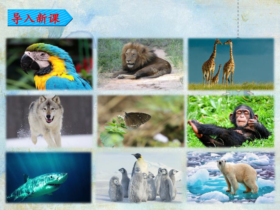 拍手歌课件.ppt_第2页