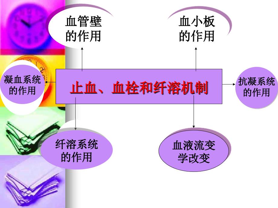 检验科基培训PPT课件.ppt_第2页