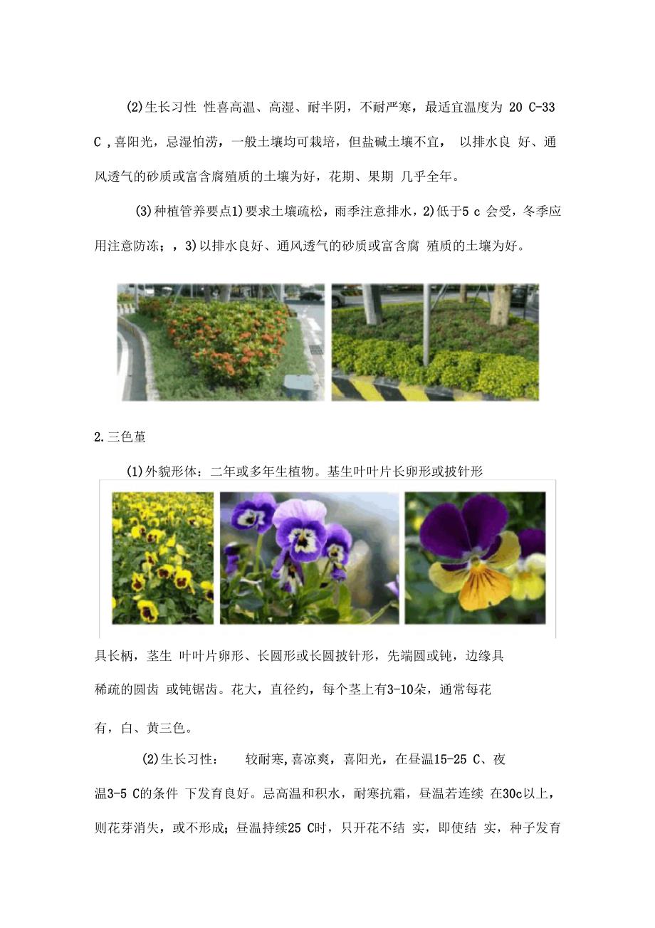 时花种植管养方案.docx_第2页