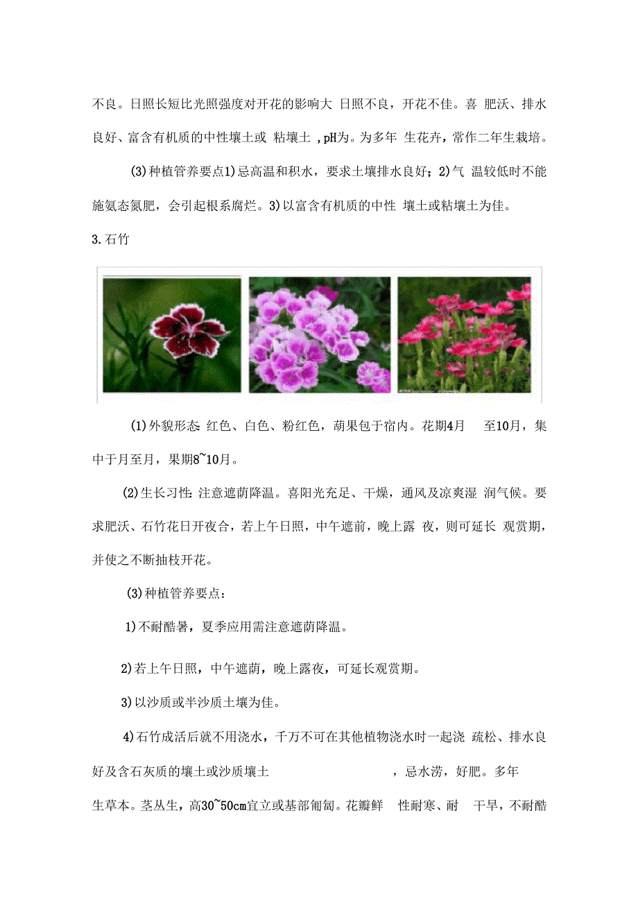 时花种植管养方案.docx_第3页