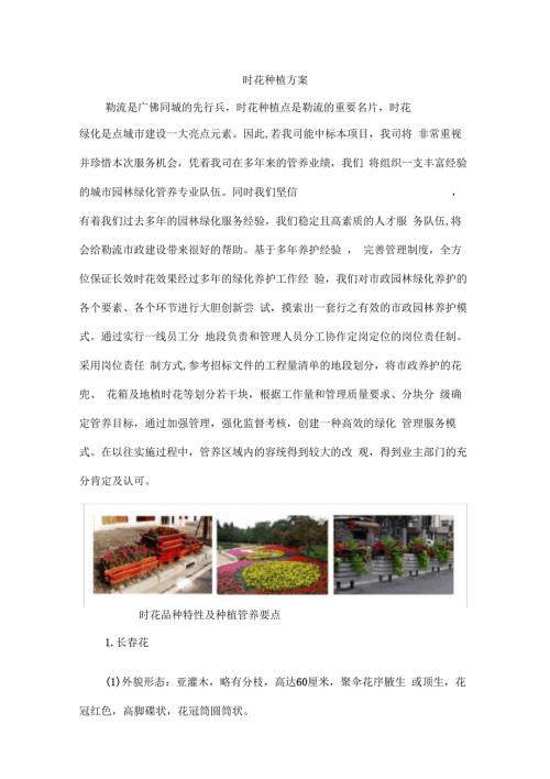 时花种植管养方案.docx