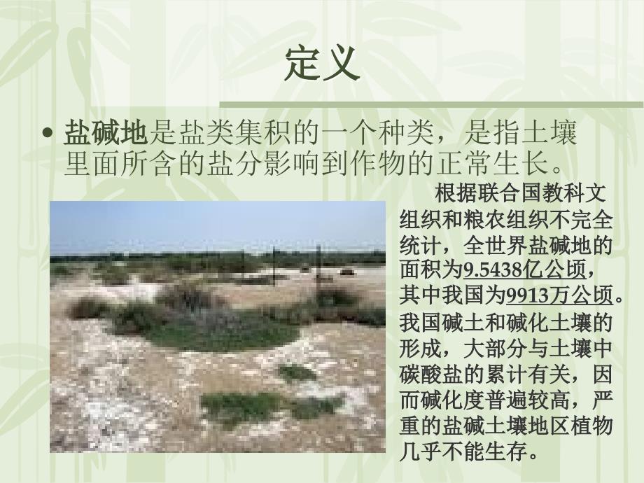 盐碱地改良ppt课件.ppt_第2页
