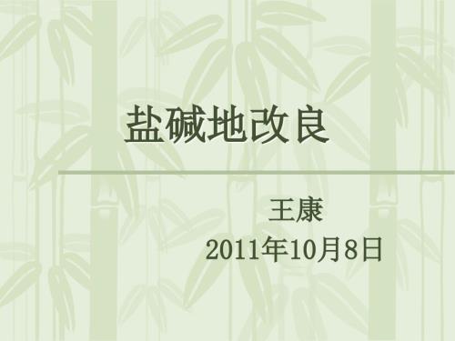 盐碱地改良ppt课件.ppt