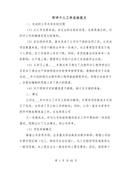 环评个人工作总结范文.doc