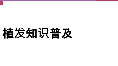 植发基础知识.ppt