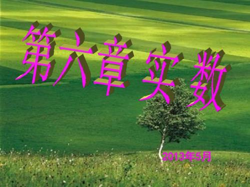 新人教版七年级下册数学第六章期末复习课件.ppt