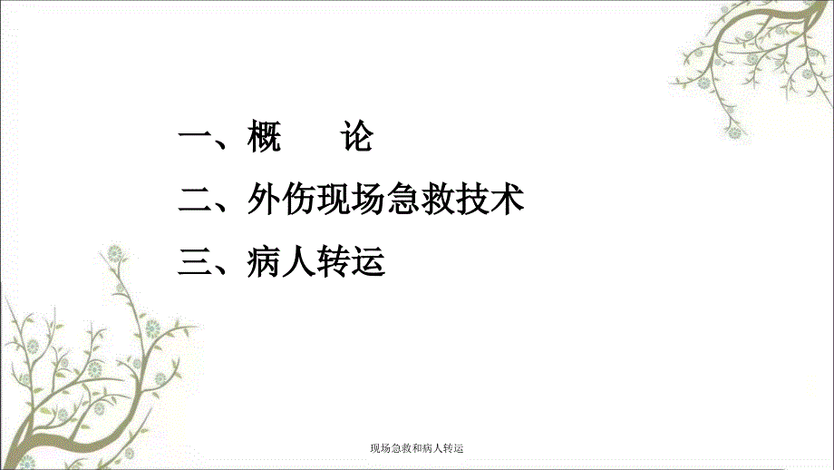 现场急救和病人转运.ppt_第2页