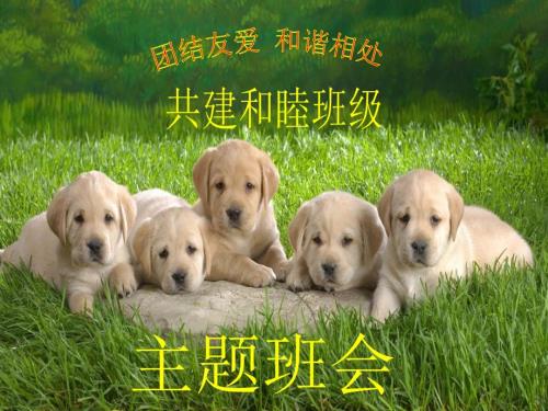 小学生团结友爱和睦共处主题班会.ppt