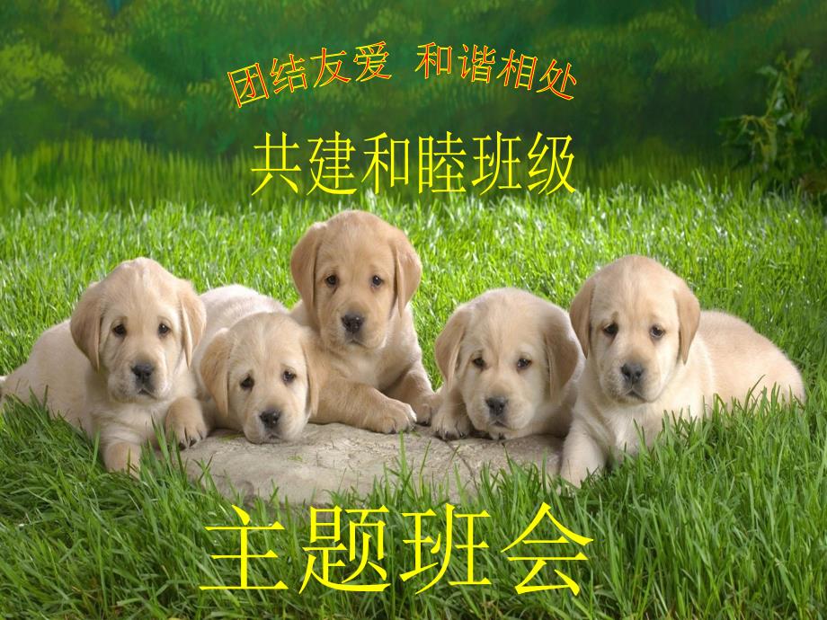 小学生团结友爱和睦共处主题班会.ppt_第1页