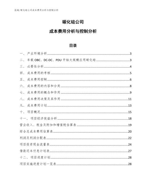 碳化硅公司成本费用分析与控制分析.docx