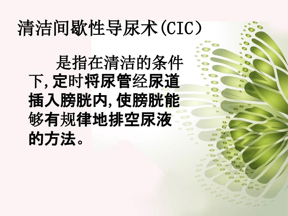 清洁间歇导尿PPT课件.ppt_第2页