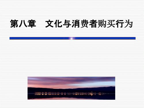 消费者行为学第八章.ppt