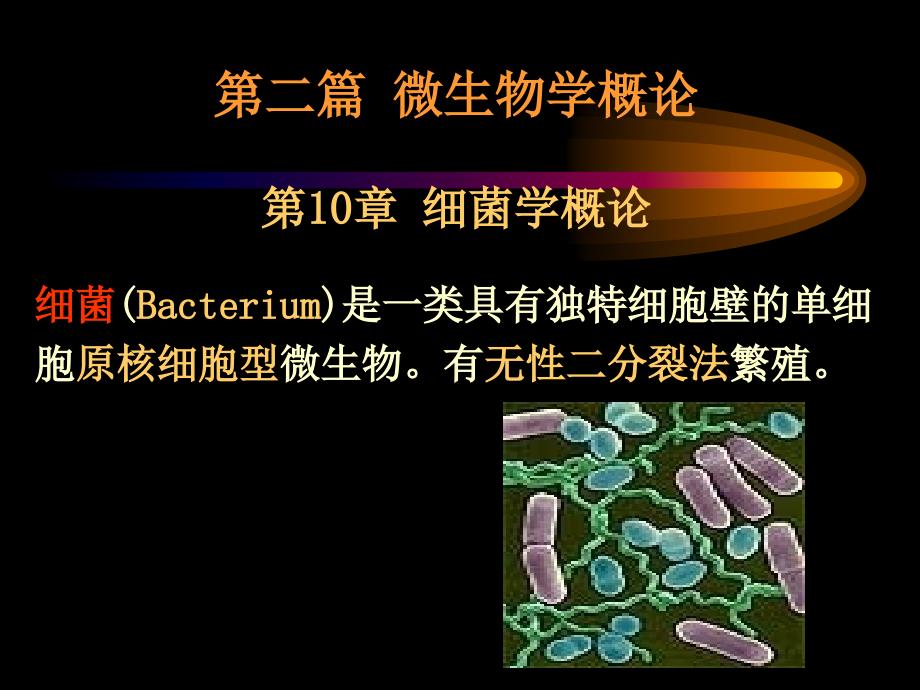 微生物免疫学第10章细菌学概论.ppt_第1页