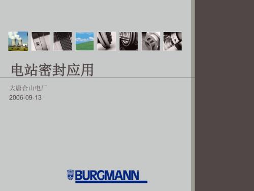电站密封应PPT课件.ppt