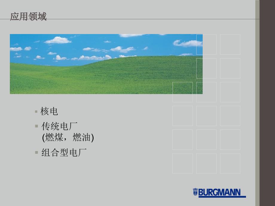 电站密封应PPT课件.ppt_第2页