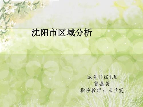沈阳市城市总体规划.ppt