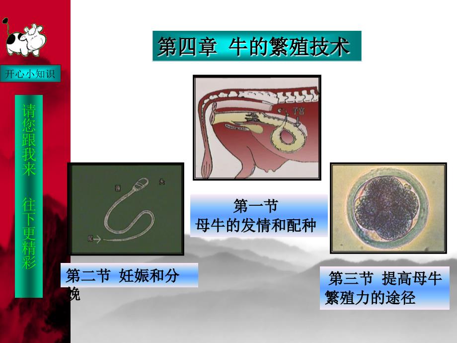 牛的繁殖技术PPT课件.ppt_第1页