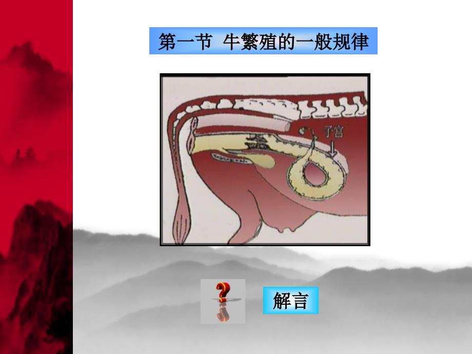 牛的繁殖技术PPT课件.ppt_第2页