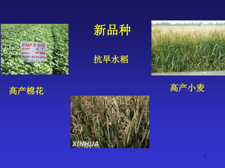 植物新品种保护和审定管理.ppt_第3页