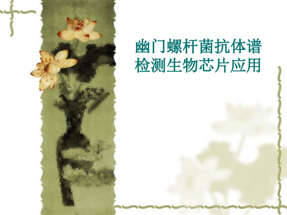 幽门螺杆菌抗体普PPT课件.ppt_第1页