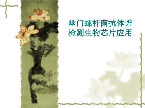 幽门螺杆菌抗体普PPT课件.ppt