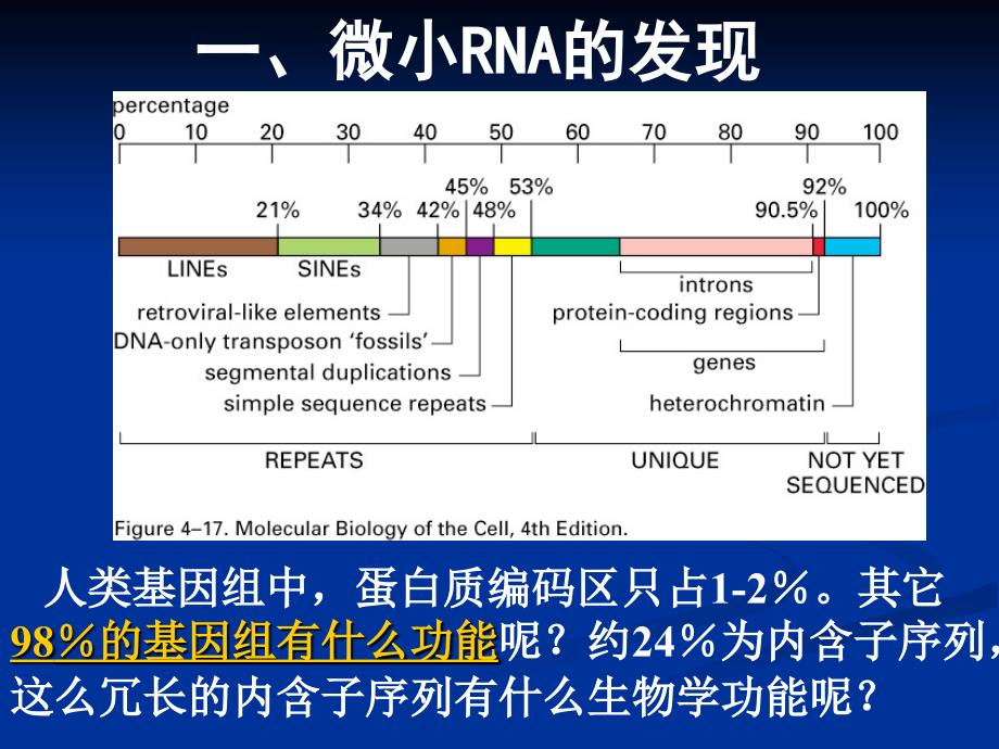 微小RNA及其在医学中的应用.ppt_第2页