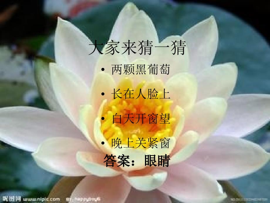 小学生讲课预防近视ppt.ppt_第3页