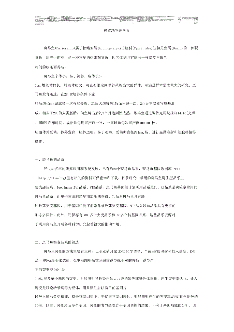 模式动物斑马鱼.doc_第1页