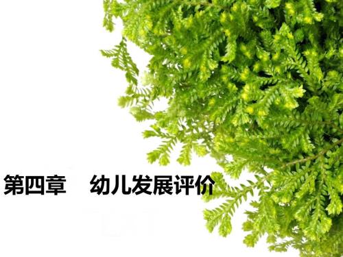 幼儿发展评价ppt演示课件.ppt