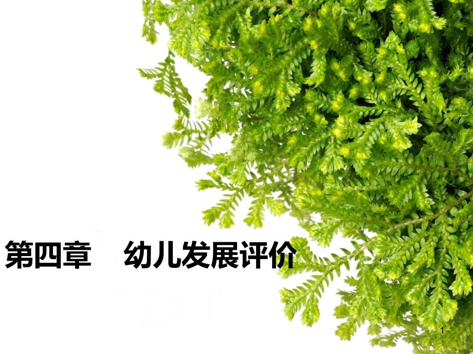 幼儿发展评价ppt演示课件.ppt_第1页