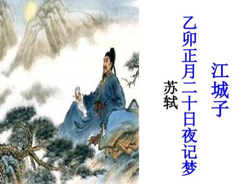 江城子乙卯正月二十日夜记梦.ppt