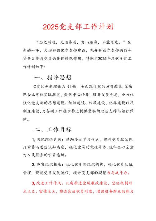 2025 党支部工作计划(1).docx