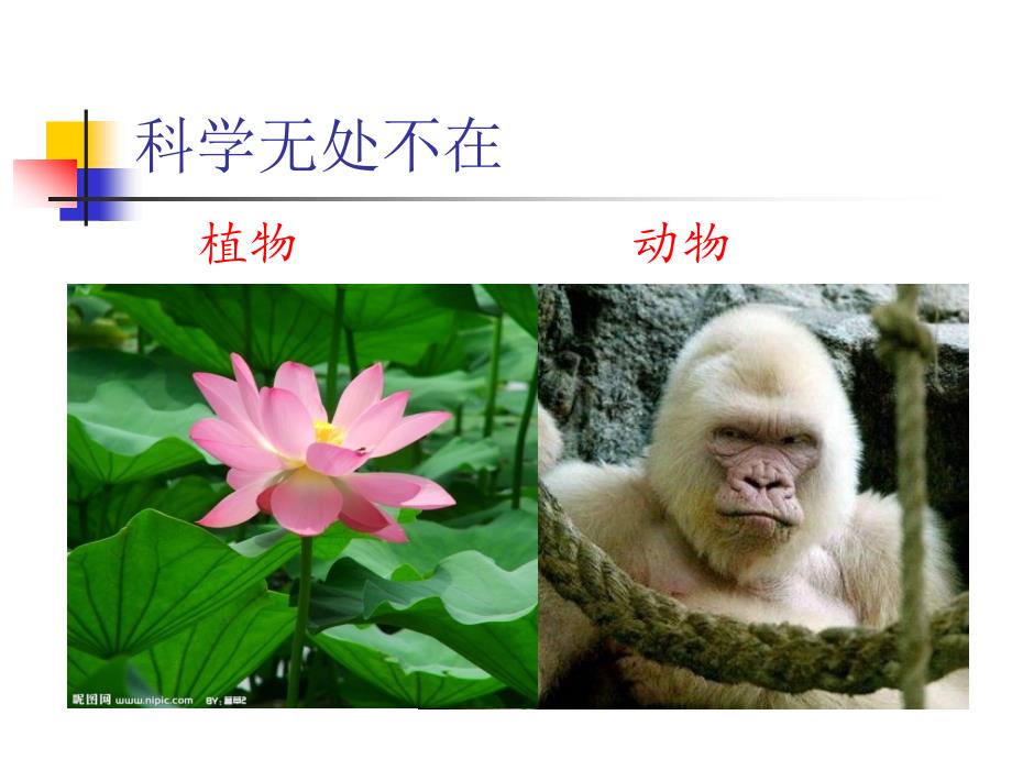 小学科学课开学第一课新学期的话.ppt_第2页