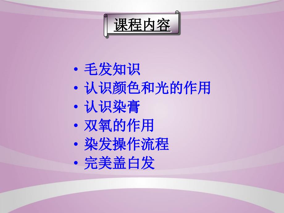 标榜造型染发PPT课件.ppt_第3页