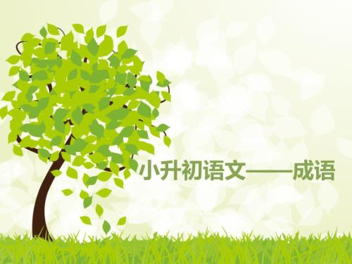 小升初复习成语课件.ppt
