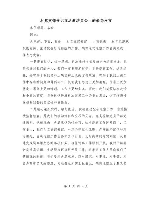 村党支部书记在巡察动员会上的表态发言.doc
