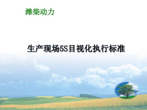 潍柴动力5s管理目视化管理推行实施执行标准.pptx