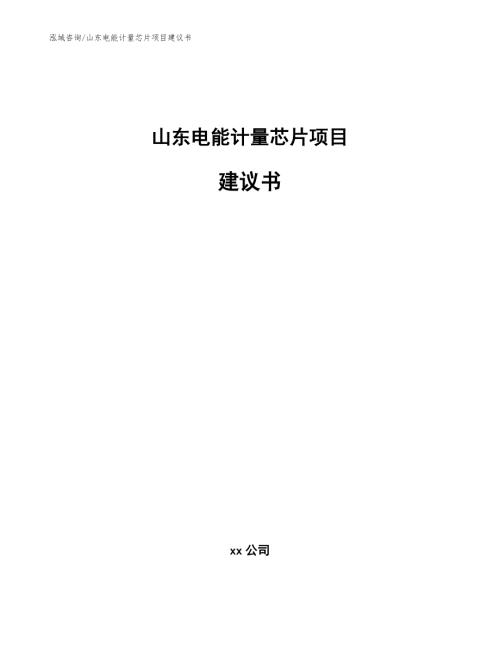 山东电能计量芯片项目建议书范文.docx