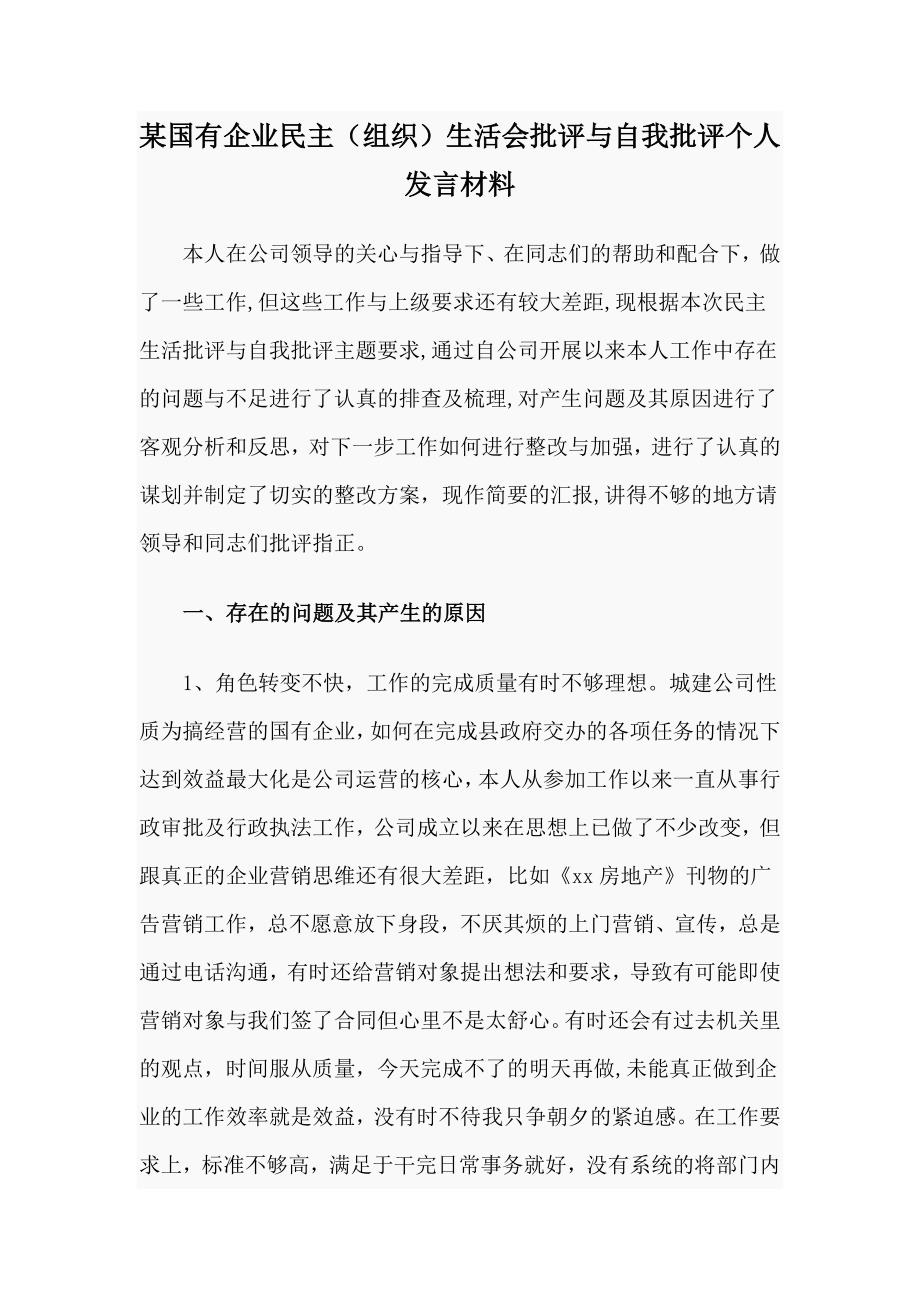 某国有企业民主组织生活会批评与自我批评个人发言材料.docx_第1页