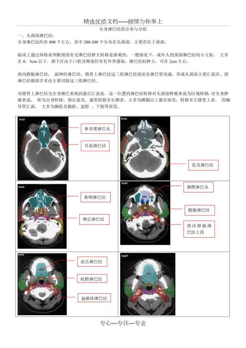 淋巴结头颈胸分区整理图示共16页.doc