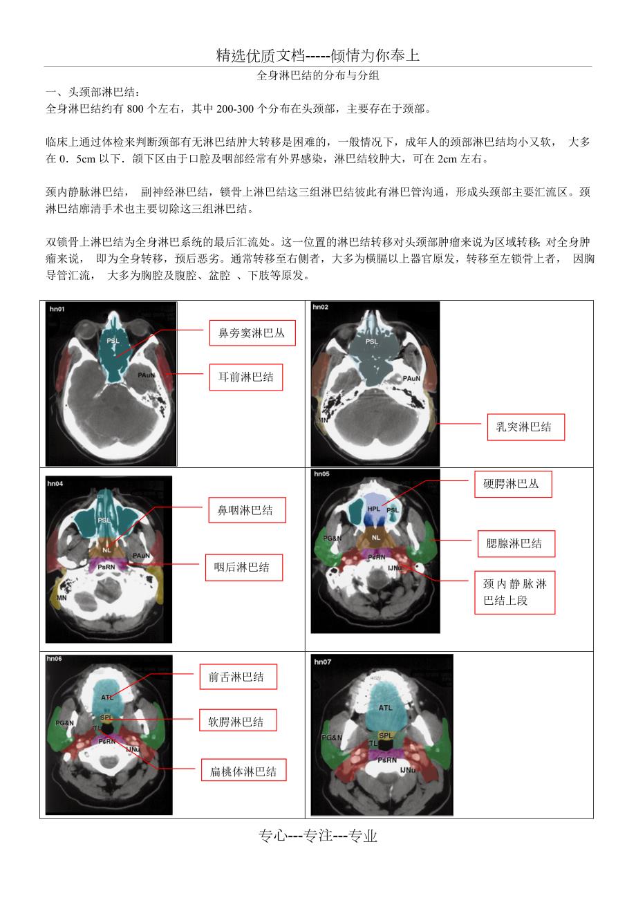 淋巴结头颈胸分区整理图示共16页.doc_第1页
