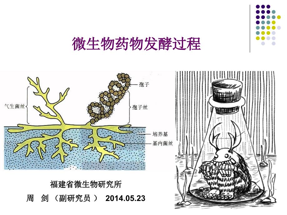 微生物药物的发酵工艺精品名师资料.ppt_第1页