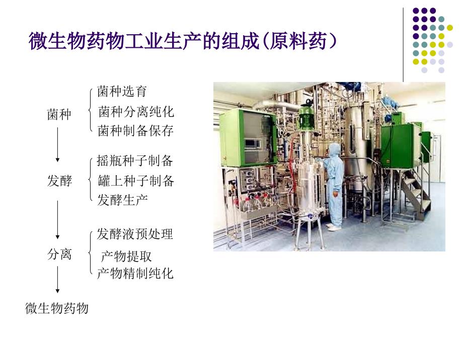 微生物药物的发酵工艺精品名师资料.ppt_第2页