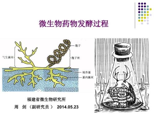 微生物药物的发酵工艺精品名师资料.ppt